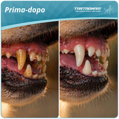 Tartagnam - Sciogli Tartaro Denti Cane 180g Polvere Dentale per Cani Supporto Alito Cane Protezione Denti Gengive per Placca e Tartaro con Ingredienti Naturali Mangime Complementare Alta Appetibilità Igiene Orale
