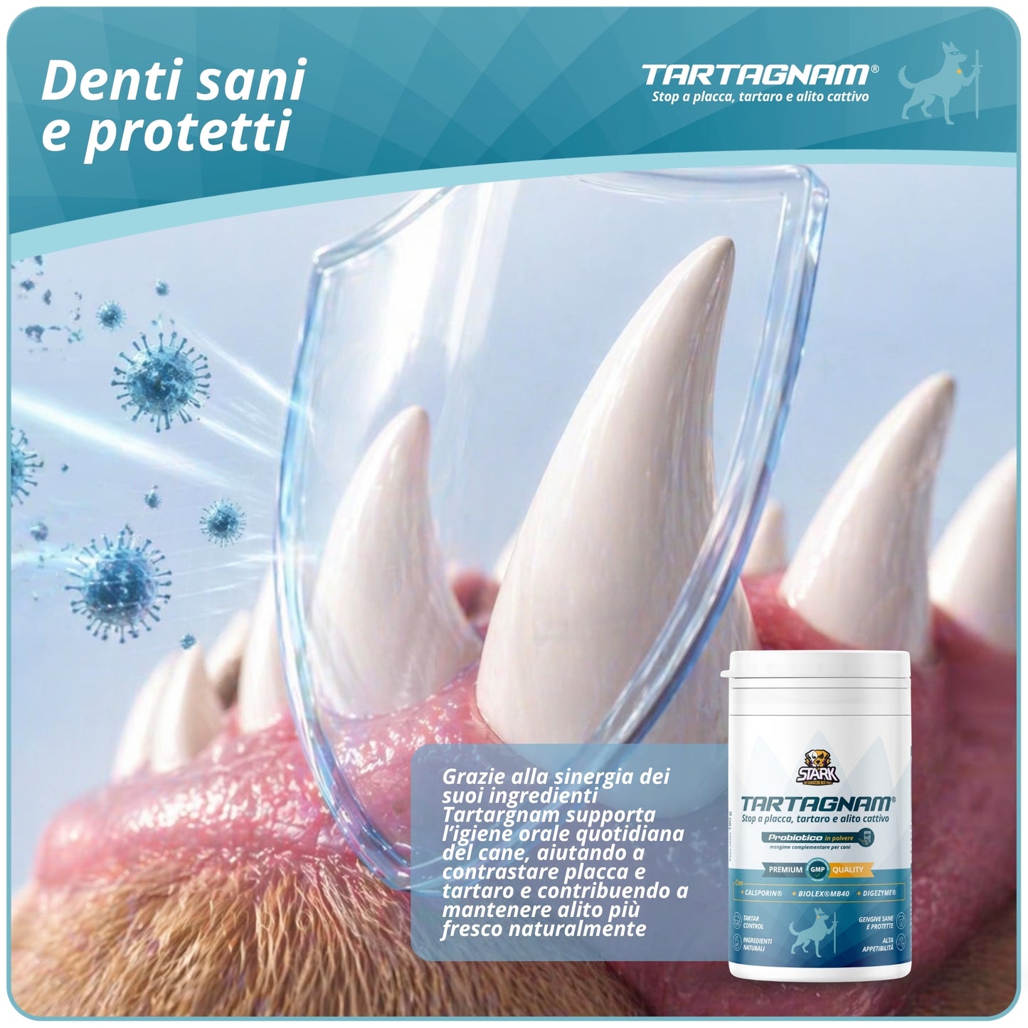 Tartagnam - Sciogli Tartaro Denti Cane 180g Polvere Dentale per Cani Supporto Alito Cane Protezione Denti Gengive per Placca e Tartaro con Ingredienti Naturali Mangime Complementare Alta Appetibilità Igiene Orale