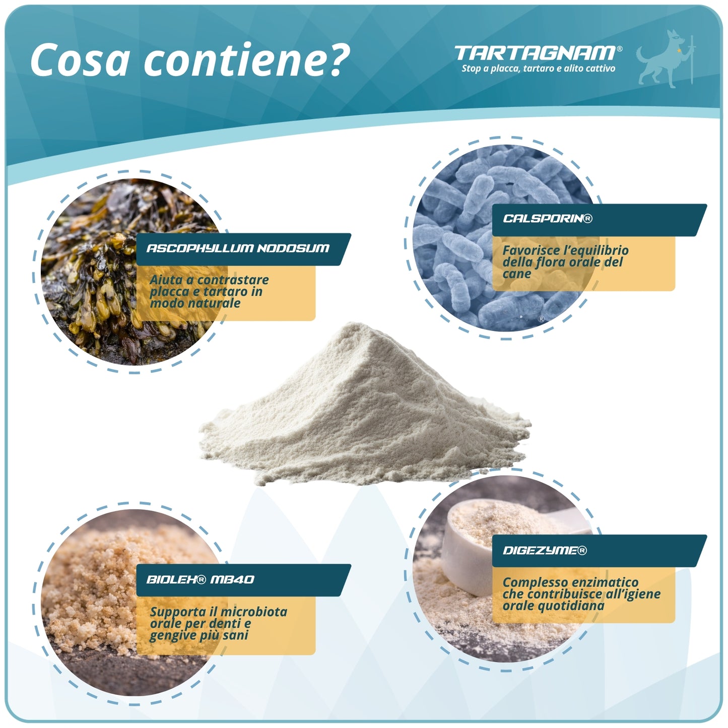 Tartagnam - Sciogli Tartaro Denti Cane 180g Polvere Dentale per Cani Supporto Alito Cane Protezione Denti Gengive per Placca e Tartaro con Ingredienti Naturali Mangime Complementare Alta Appetibilità Igiene Orale