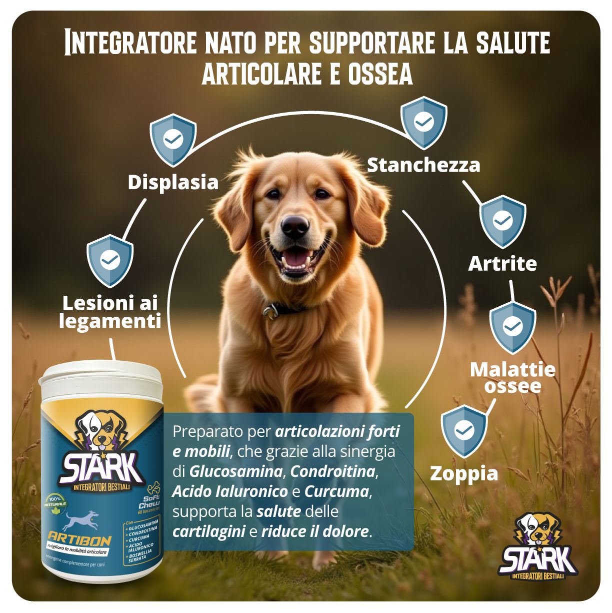 artibon - condroprotettore per articolazioni mobili e ossa forti