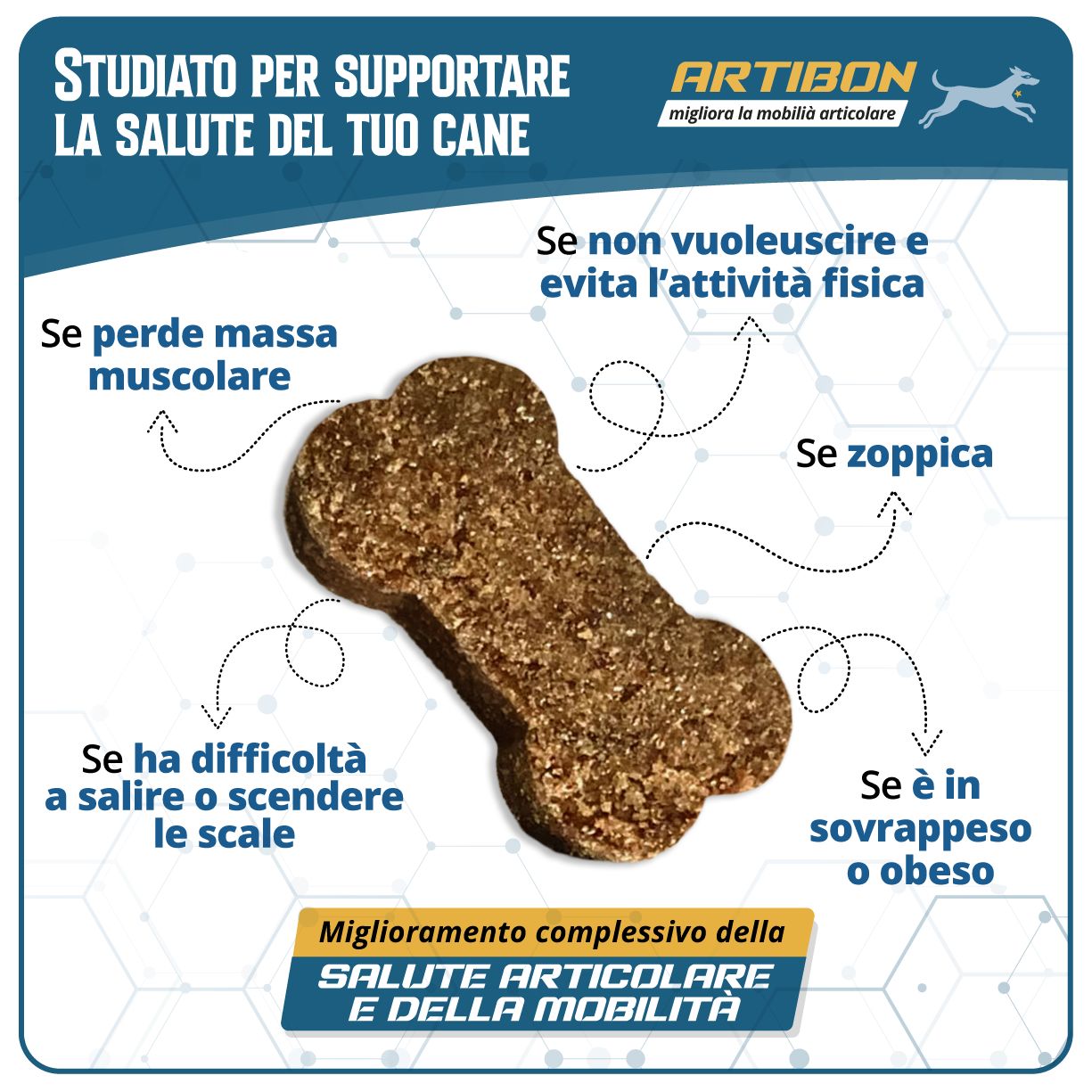 artibon - condroprotettore per articolazioni mobili e ossa forti
