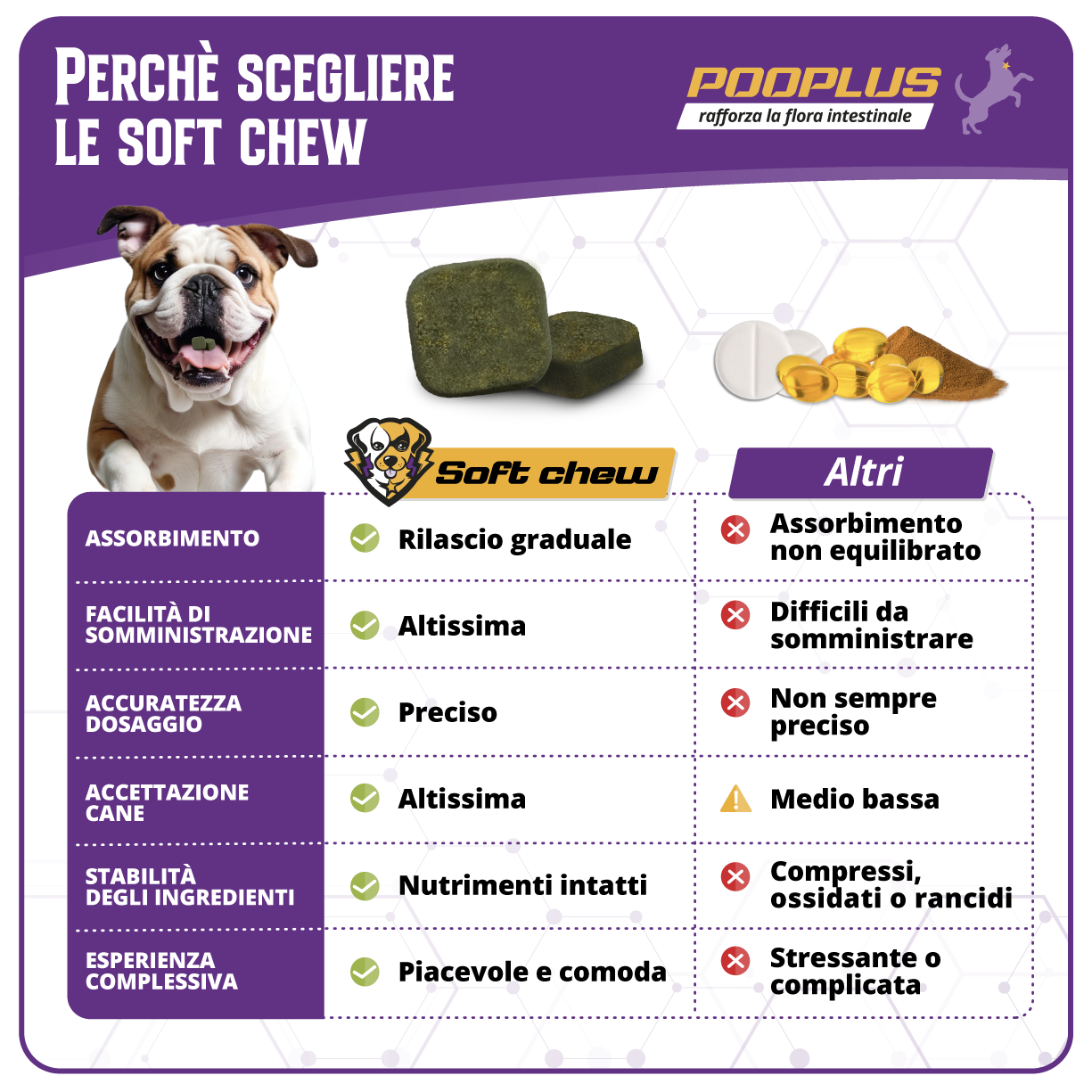 pooplus - probiotico per la digestione e il sistema immunitario del cane